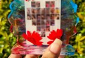 🌸Memory Frame🌸
