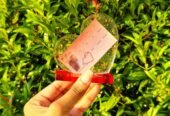 Resin Heart
