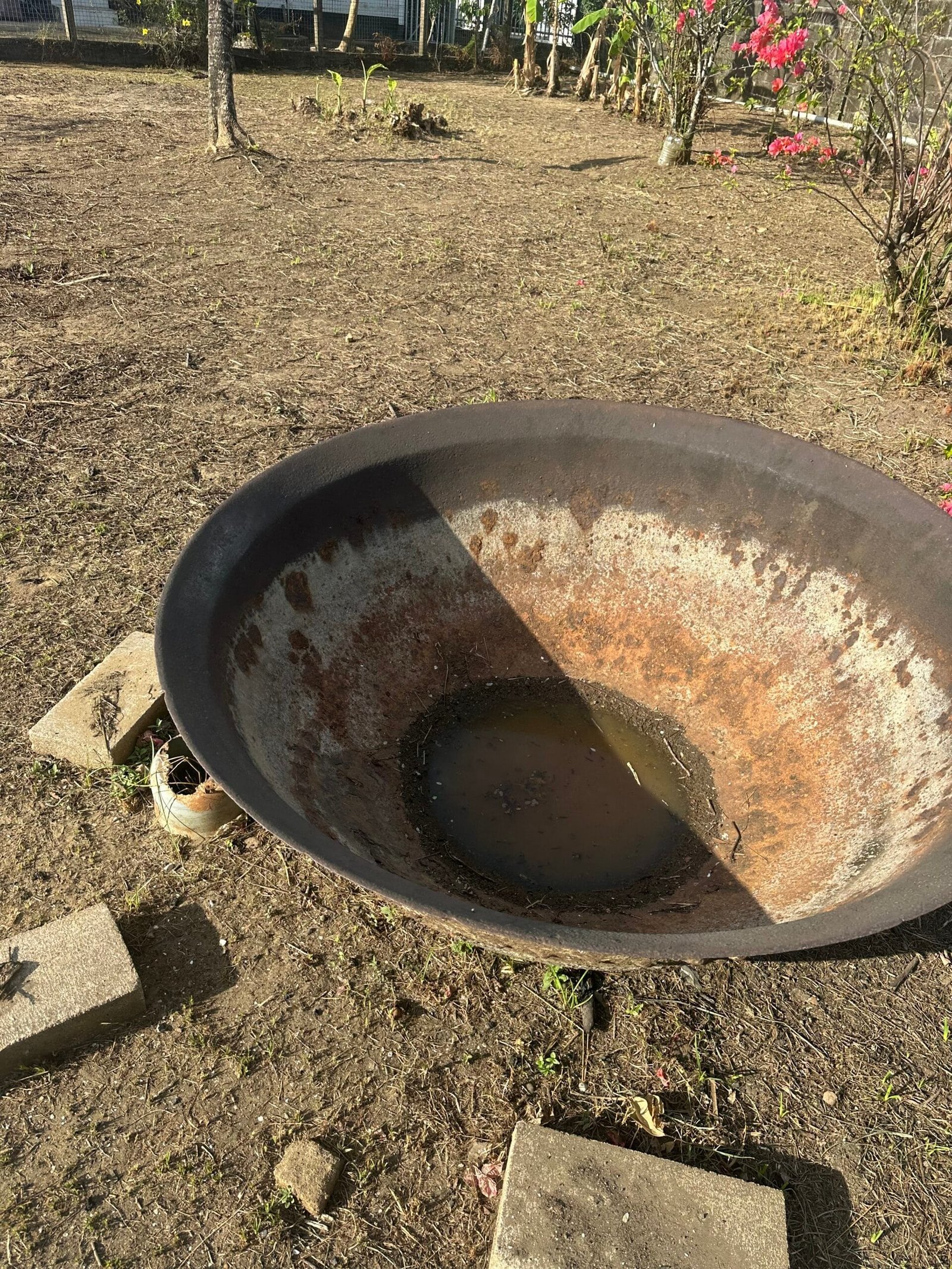 Antieke Suikerpot (Kappa)